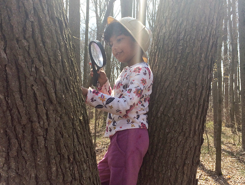 Child uses magnifying glass to look at tree outside the UD Lab School