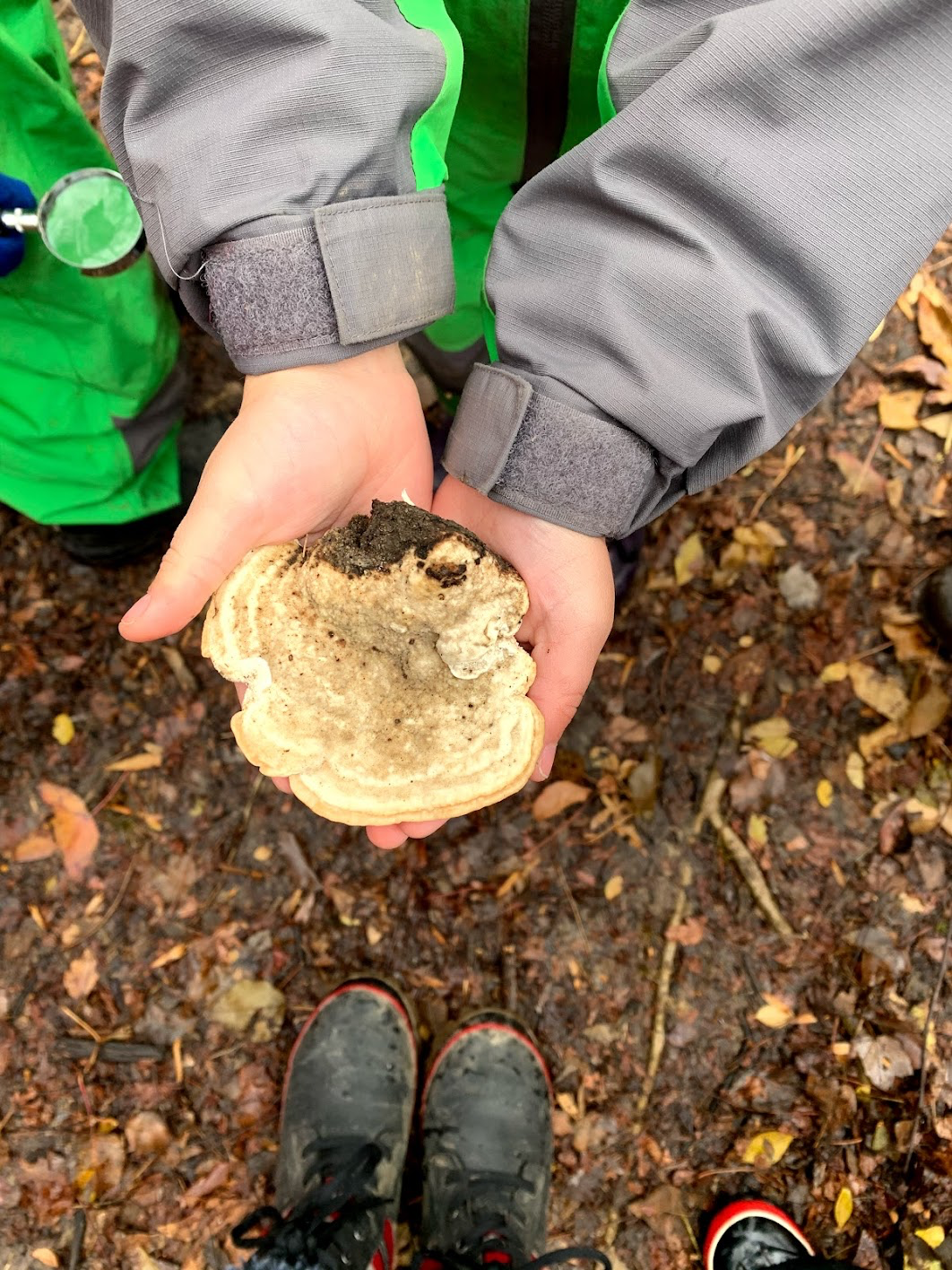 Teacher guides students through the woods outside at the UD Lab School